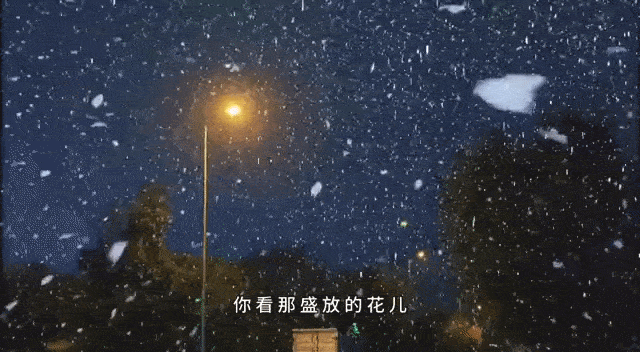 昨晚,吴江下雪啦 你的朋友圈被刷屏了吗