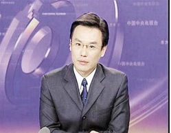 央视主持人张羽疑卷入刘铁男贪腐案 曾在股市大赚 