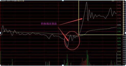 股票前一天放量涨停第二天放量跌停是什么意思