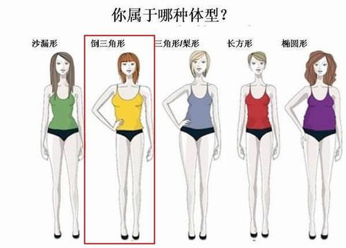 像关晓彤一样的肩宽女生应该怎么穿 注意6个细节,穿出完美比例