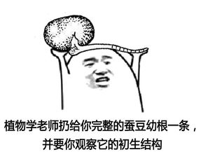 好了,那就开始实验吧 