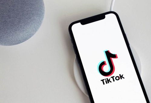 Tiktok电商账号_tiktok核心代理权