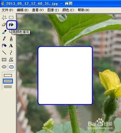 如何用画图软件编辑图片——剪切，加框(画图里面如何剪切)