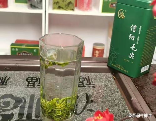 绿茶保质期多久 家里放了3年的绿茶还能喝吗 绿茶储存有何要求