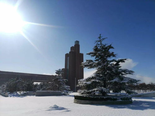 山东泰山技师学院(烟台南山职业技术学院在哪个位置)