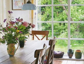 散尾葵放客厅的禁忌,盆栽散尾葵可以摆在客厅吗？