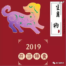 生肖运势 独家发布2019年十二生肖运势全面解读 开运秘法