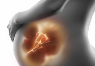 原创怀孕期间，孕妈身体的这4种症状，可能暗示是个“小阿哥”哦