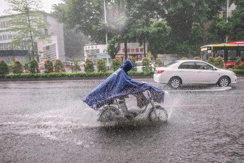 雨雨雨雨 西安终于要降雨了 8月还将被这些好消息刷屏