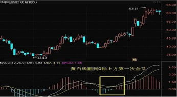 股票走势下一步会怎样?