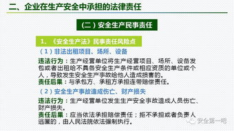 企业安全法律责任清单,指明企业面临的法律风险 PPT 