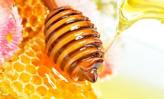 秋季护肤小常识 自制蜂蜜美白祛斑面膜
