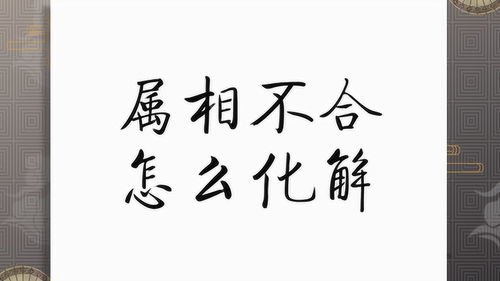 属相不合怎么办 12生肖中这6对生肖相冲,如何化解 