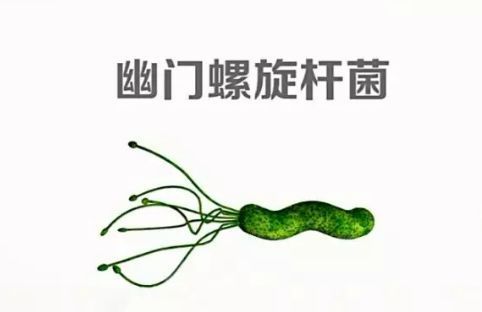 幽门螺旋杆菌阳性是什么意思 严重吗