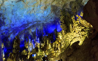 私家定制团 贵州休闲5日之旅 贵阳 毕节 草海 黄果树瀑布 天龙屯堡