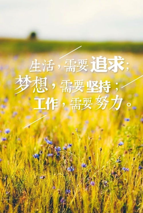 正能量励志文字短句早安  正能量励志语录短句？