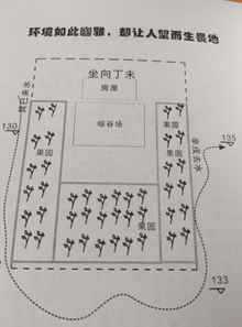 学风水的人(学风水的人真的能找到古墓吗)