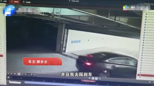 为什么添加非本人机动车辆总显示检测失效