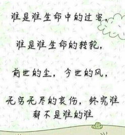 假的不在乎,真的无所谓 