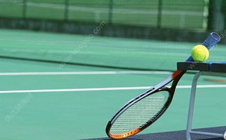 中国人羽毛球和乒乓球都打的很好，那网球为什么不行呢(羽毛球不如网球)