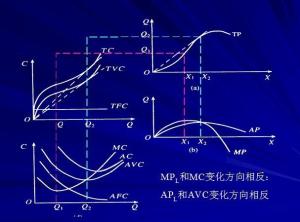 单位平均成本是什么成本？