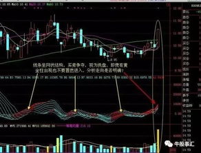 条件选股公式量柱公式