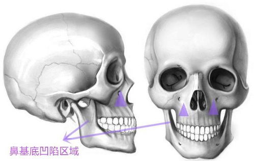 奥黛丽赫本身上最迷人的地方竟不是她的小鹿眼,而是这个部位