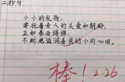 大学生 网红 字体曝光,看似潦草实则很美,学生 考试会扣分吗