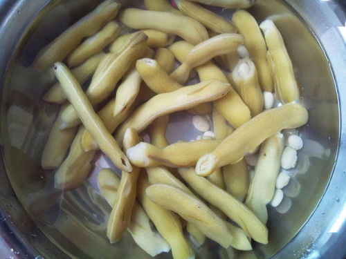 客家人常吃的 狗爪豆 ,到底是什么