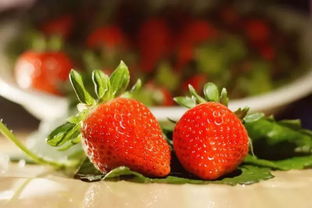 日本巨型草莓 七彩草莓