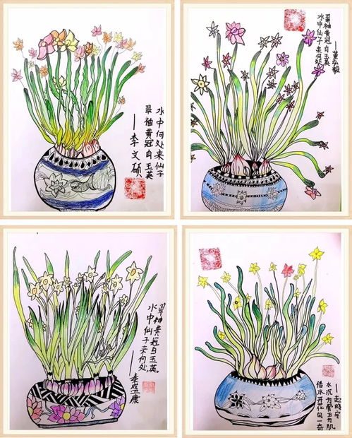 水仙花成长过程简笔画 图片搜索