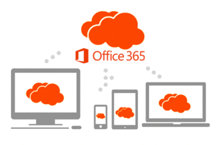 office 365