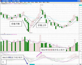 如何交易股票？最低多少手可以交易？入市最低多少资金？