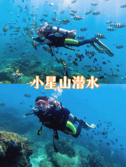 惠州旅游攻略惠东海边景点分布图 