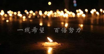 宜宾突发地震,祈祷一切平安,也祈祷那一片美丽的竹海安然无恙