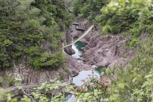 浙江有个十八涡,山清水秀景色美,多部电视电影曾在此取过镜头