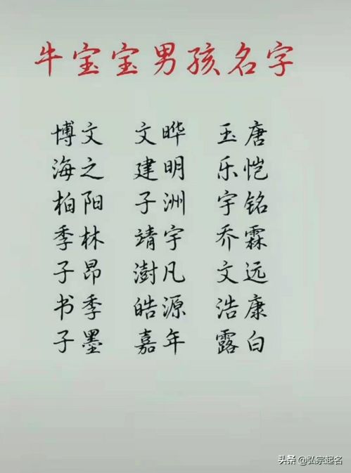 牛年出生的宝宝起名,男孩名字要大气女孩名字有柔美有诗意