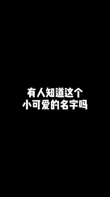 有人知道这个小可爱的名字吗 