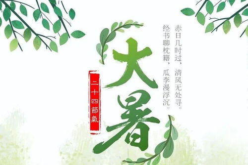 夏天y名言;小暑大暑的名言？