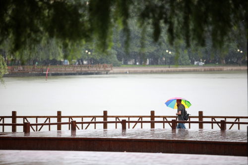 秋渐深 雨意浓