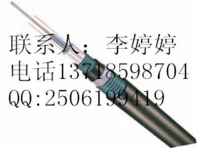 供应中芯束管式八字型光缆GYTC8XS 4B1