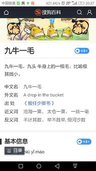 九牛一毛什么意思 