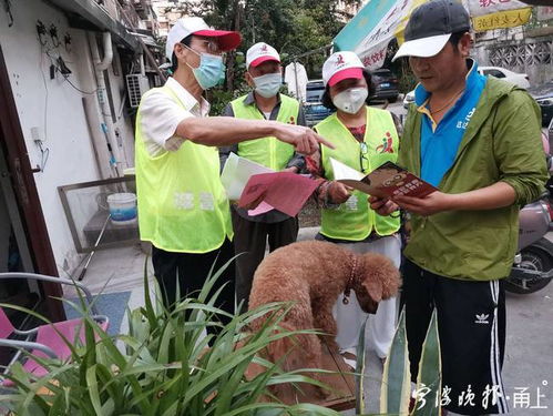 宁波启动养犬管理联合大整治 三类犬只统一移送收容留检场所