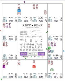 紫微斗数问题 请各位高手分析下这个飞星盘 