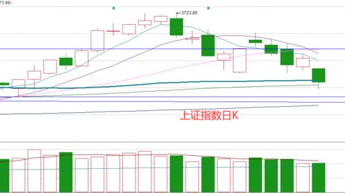 股票卖了什么时候能提钱