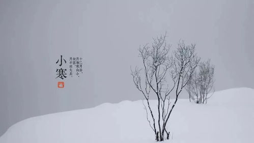 小寒将至,农村俗语 小寒大寒不下雪,小暑大暑天开裂 ,在理吗