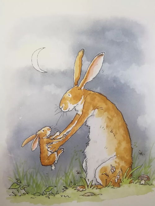Pongo睡前故事 一只大兔子与小兔子的故事 猜猜我有多爱你