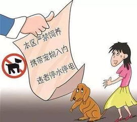 妹纸养狗被投诉,我们却差一位这样的中国好邻居