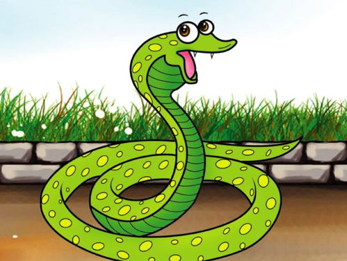 蛇蛇蛇 一生命运和婚配解析,什么时候才能享福 属蛇的人必看