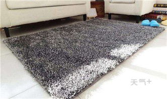 地毯清洗 地毯如何清洗